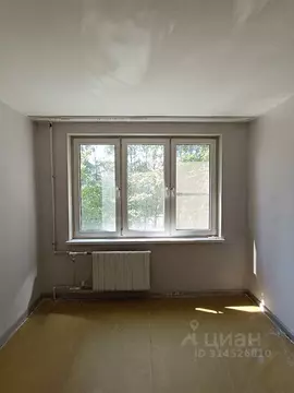 Комната Санкт-Петербург просп. Солидарности, 10К1 (10.0 м)