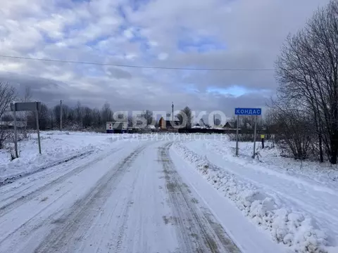 Участок в Пермский край, Березники муниципальный округ, д. Кондас ул. ...