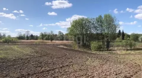 Участок в Брянская область, Почепский район, Дмитровское с/пос, пос. ...