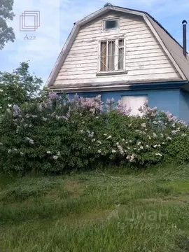 Дом в Алтайский край, Первомайский район, Локомотив СНТ  (50 м)