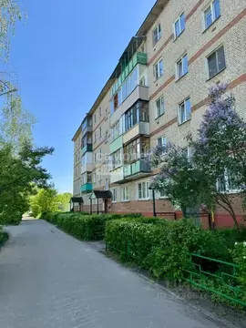 2-к кв. Московская область, Куровское Орехово-Зуевский городской ...