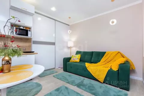 Студия Тюменская область, Тюмень ул. Парада Победы, 7 (23.7 м)