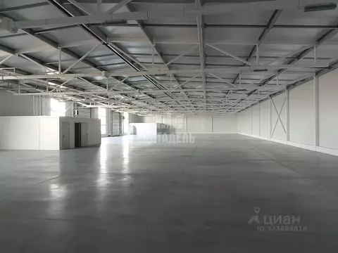 Производственное помещение в Воронежская область, Новоусманский район, ...