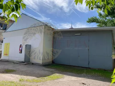 Торговая площадь в Воронежская область, Бутурлиновка Красная ул., 3 ...