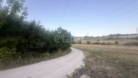 Участок в Крым, Симферопольский район, Перовское с/пос, Лесное ТСН ул. ...