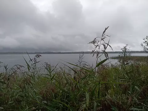 Участок в Новгородская область, Окуловский район, Турбинное с/пос  ...