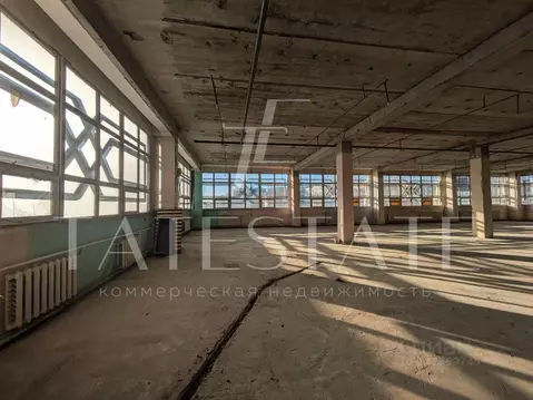 Помещение свободного назначения в Татарстан, Казань ул. Татарстан, 22 ...