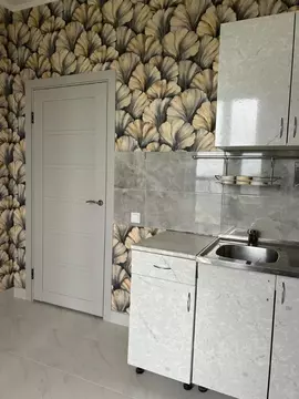 1-к кв. Санкт-Петербург ул. Антонова-Овсеенко, 5к1 (40.7 м)