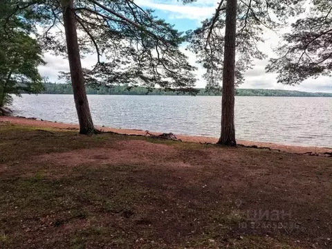 Участок в Ленинградская область, Выборгский район, Приморское ...