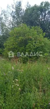 Участок в Владимирская область, Камешковский район, Сергеихинское ...