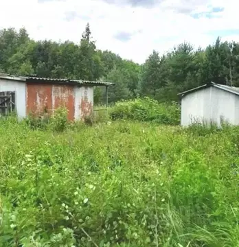 Участок в Тверская область, Калининский муниципальный округ, Ирис СПК  ...