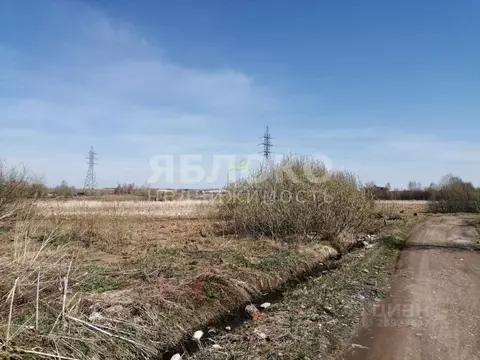 Участок в Пермский край, Березники ул. Рылеева, 5 (7.5 сот.)