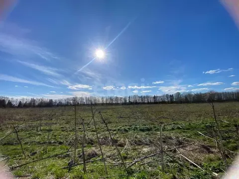 Участок в Ленинградская область, Волховский район, Бережковское с/пос, ...