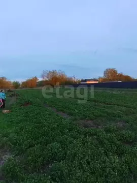 Участок в Брянская область, Брянский район, Отрадненское с/пос, с. ...