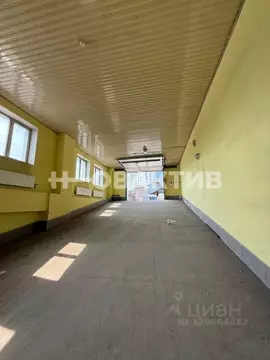 Помещение свободного назначения в Новосибирская область, Новосибирск ...