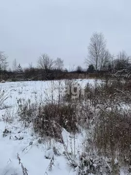 Участок в Костромская область, Костромской район, Кузьмищенское с/пос, ...