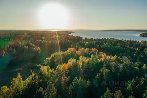 Участок в Ленинградская область, Приозерский район, Громовское с/пос, ...