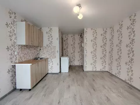 Студия Омская область, Омск Городок Нефтяников мкр, ул. 22 Апреля, 24 ...