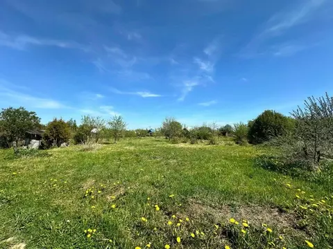 Участок в Костромская область, Костромской район, Сущевское с/пос, ...