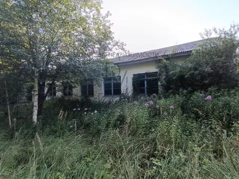 Помещение свободного назначения в Калининградская область, Калининград ...