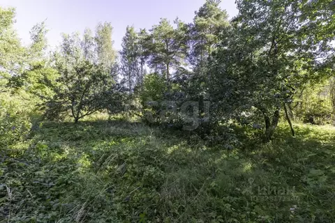 Участок в Ленинградская область, Кировский район, Синявинское ...