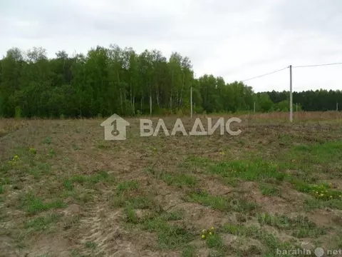 Участок в Калининградская область, Гурьевский муниципальный округ, ...