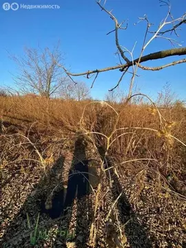 Участок в Трудовое, Южная улица (9.5 м)