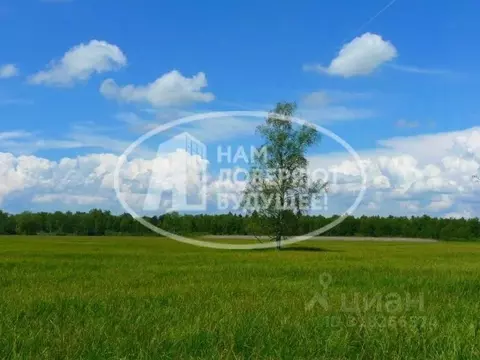 Участок в Пермский край, Лысьва Окружная ул., 47 (6.0 сот.)