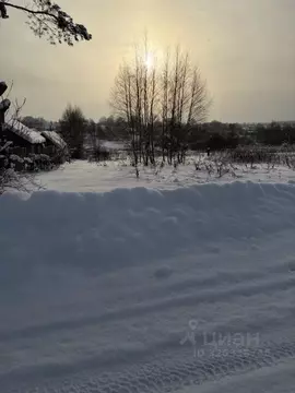 Участок в Московская область, Лотошино муниципальный округ, д. Пешки  ...