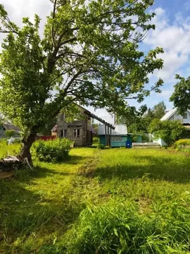 Участок в Вологодская область, Вологда Рассвет-1 садоводческое ...