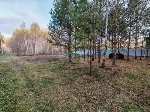 Участок в Тюменская область, Нижнетавдинский муниципальный округ, ...