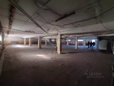 Помещение свободного назначения в Иркутская область, Иркутск Полярная ...