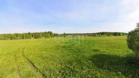 Участок в Тюменская область, Тюменский муниципальный округ, д. Речкина ...