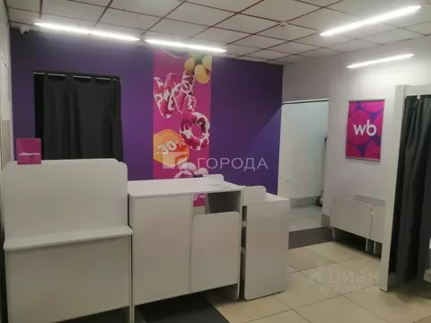 Помещение свободного назначения в Новосибирская область, Ордынское рп ...