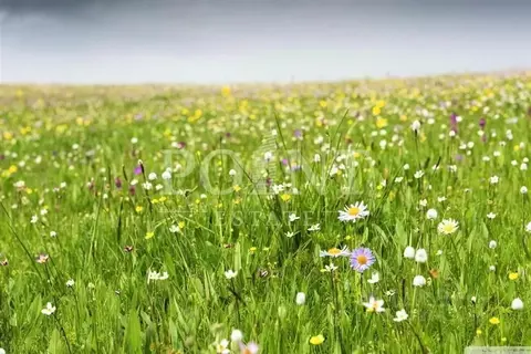 Участок в Московская область, Одинцовский городской округ, Изумрудный ...