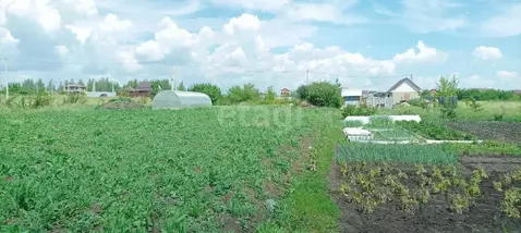 Участок в Мордовия, Лямбирский район, с. Атемар ул. Деревушка (15.0 ...