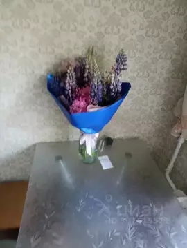 1-к кв. Костромская область, Кострома ул. Титова, 2 (32.0 м)