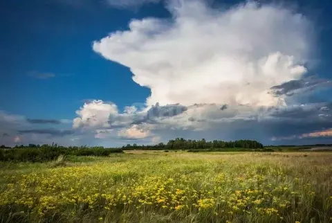 Участок в Алтайский край, Каменский район, с. Гонохово Гоноховская ул. ...