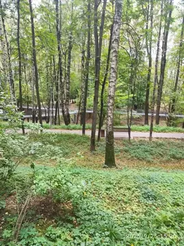 1-к кв. Москва ул. Красного Маяка, 11К4 (32.0 м)