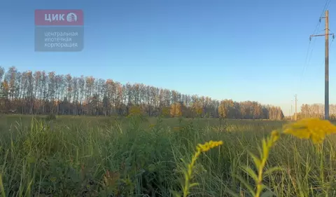 Участок в Рязанская область, Рязанский район, Дядьковское с/пос, д. ...