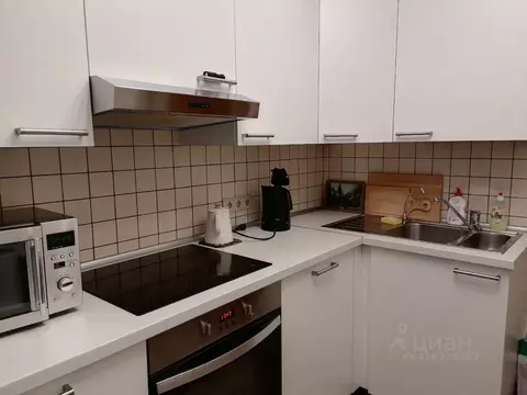 1-к кв. Санкт-Петербург просп. Энтузиастов, 53/38 (33.0 м)