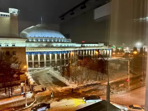 3-к кв. Новосибирская область, Новосибирск ул. Орджоникидзе, 33 (78.0 ...