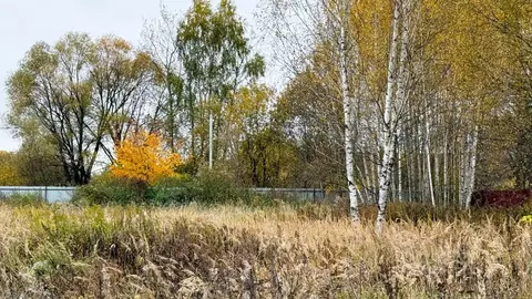 Участок в Московская область, Раменский муниципальный округ, д. ...