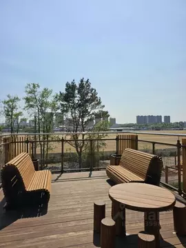 Свободной планировки кв. Амурская область, Благовещенск Краснофлотская ...