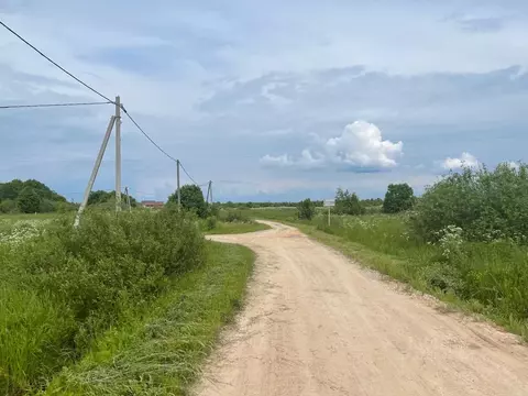 Участок в Новгородская область, Старорусский муниципальный округ, д. ...