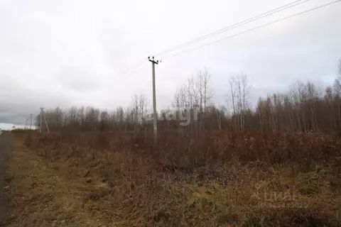 Участок в Свердловская область, Кушва  (15.4 сот.)