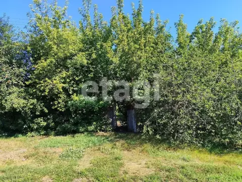 Участок в Белгородская область, Вейделевский район, с. Николаевка  ...