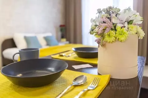 1-к кв. Алтайский край, Барнаул просп. Строителей, 18 (26.0 м)