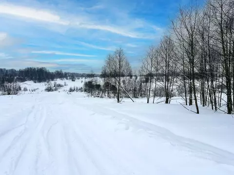 Участок в Московская область, Дмитровский муниципальный округ, Сбоево ...