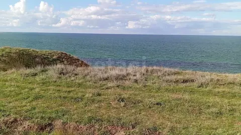 Участок в Крым, Ленинский район, Семисотское с/пос, с. Каменское ул. ...